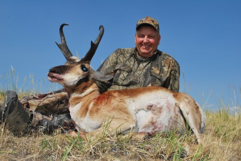 antelope 253